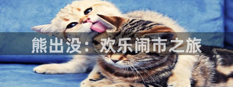 动漫岛网站官网：熊出没：欢乐闹市之旅