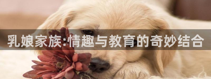 开心动漫岛：乳娘家族:情趣与教育的奇妙结合