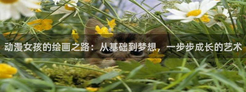 动漫岛动漫官网入口：动漫女孩的绘画之路：从基础到梦想，一步步成长的艺术